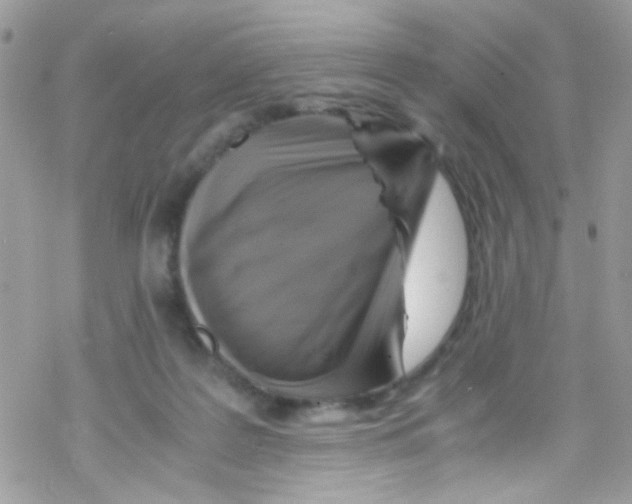 X0000069410219200606091814
