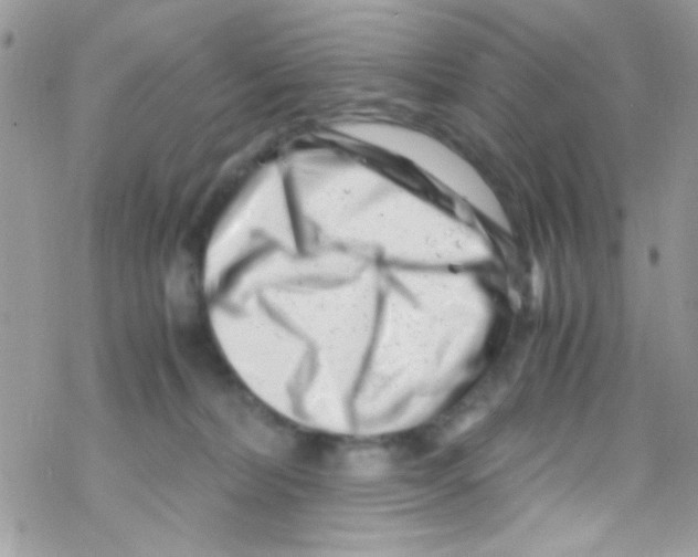 X0000069410228200606091814