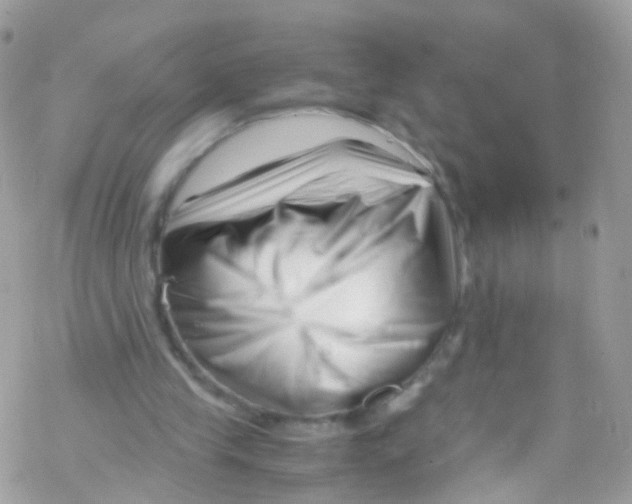 X0000069410245200606091813