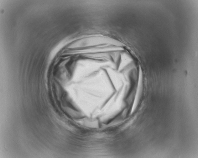 X0000069410246200606091813