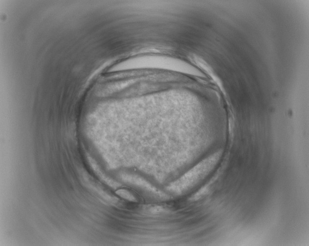 X0000069410249200606091813