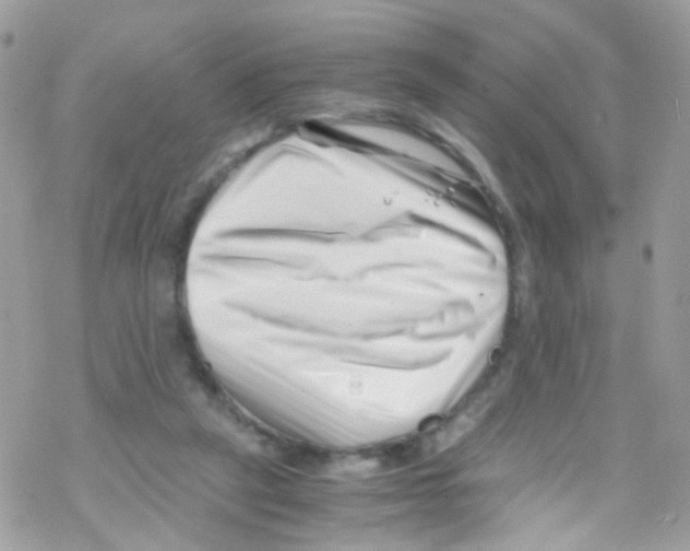 X0000069410257200606091814