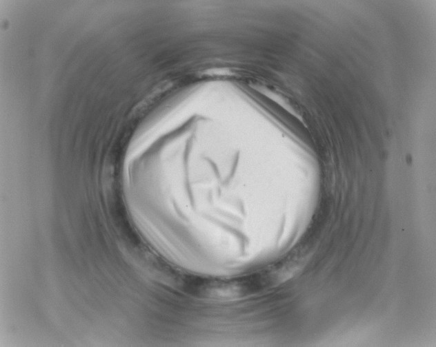 X0000069410263200606091814