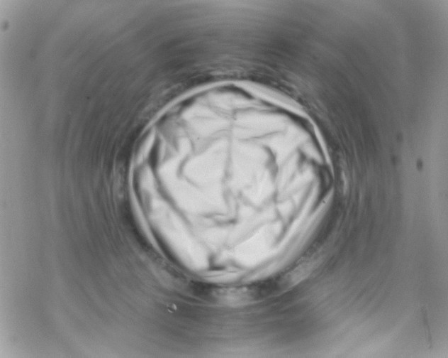 X0000069410273200606091814