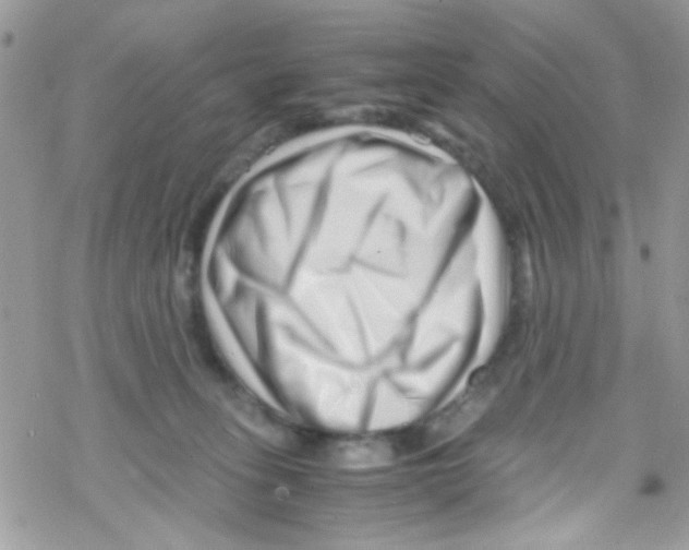 X0000069410275200606091814