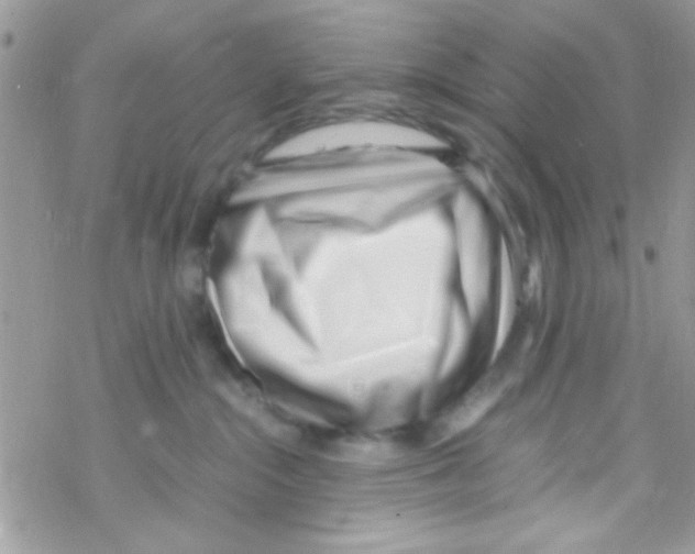 X0000069410284200606091814