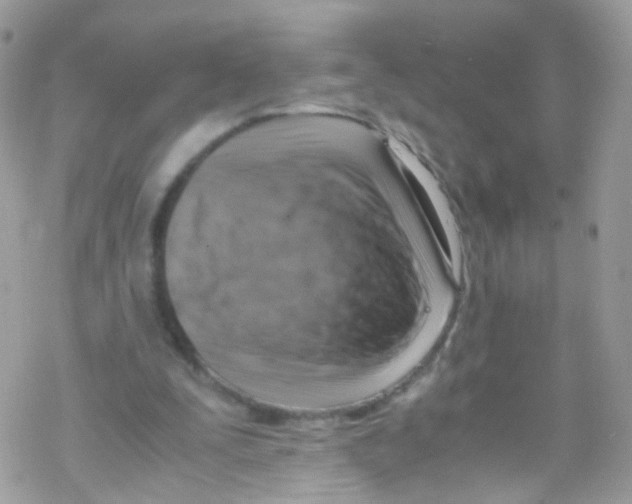 X0000069410295200606091813