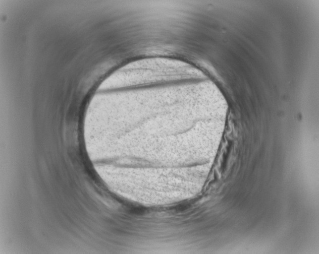 X0000069410299200606091813