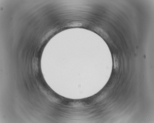 X0000069410300200606091813