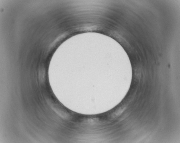 X0000069410304200606091813