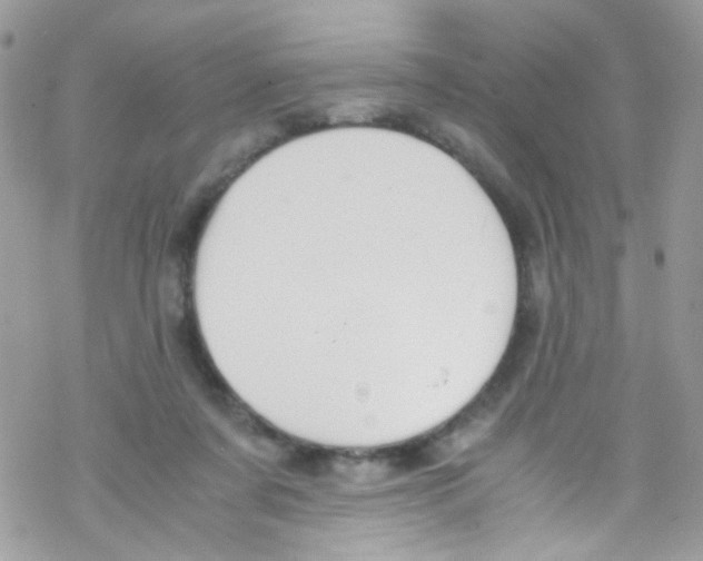 X0000069410311200606091813