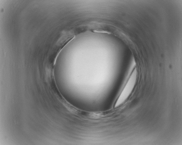 X0000069410333200606091813