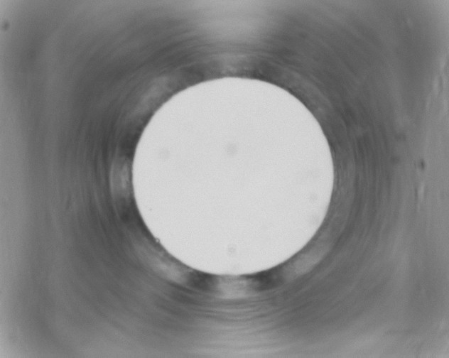 X0000069410336200606091813