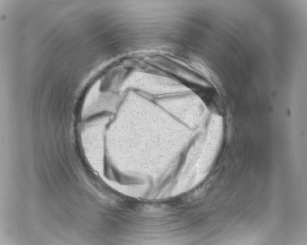 X0000069410346200606091812