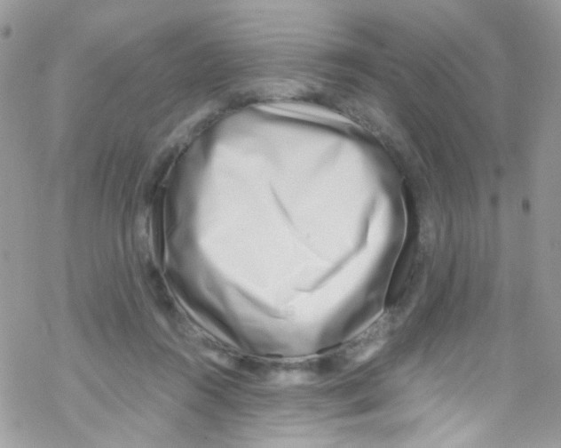 X0000069410360200606091812