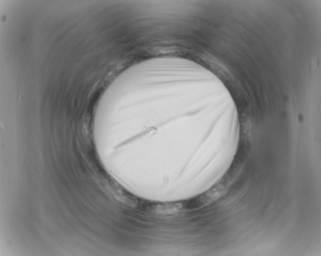 X0000069410373200606091812