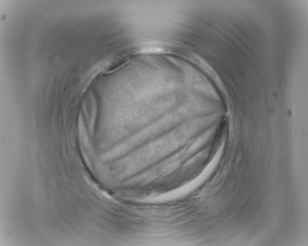 X0000069410385200606091812