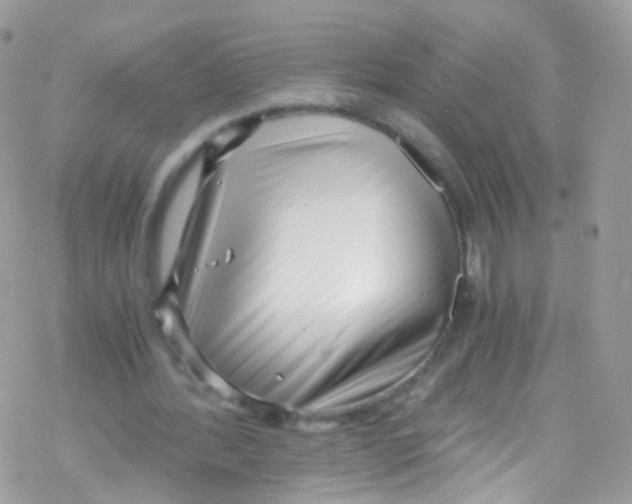 X0000069410388200606091812
