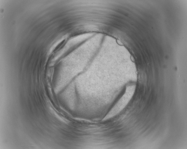 X0000069410390200606091812