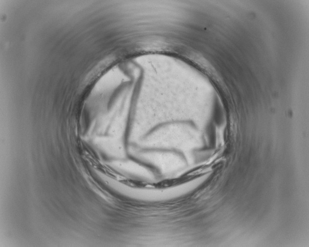 X0000069410397200606091812