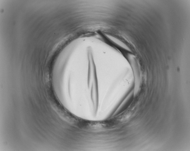 X0000069410407200606091811