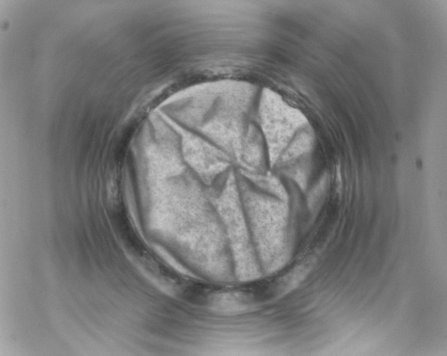 X0000069410408200606091811