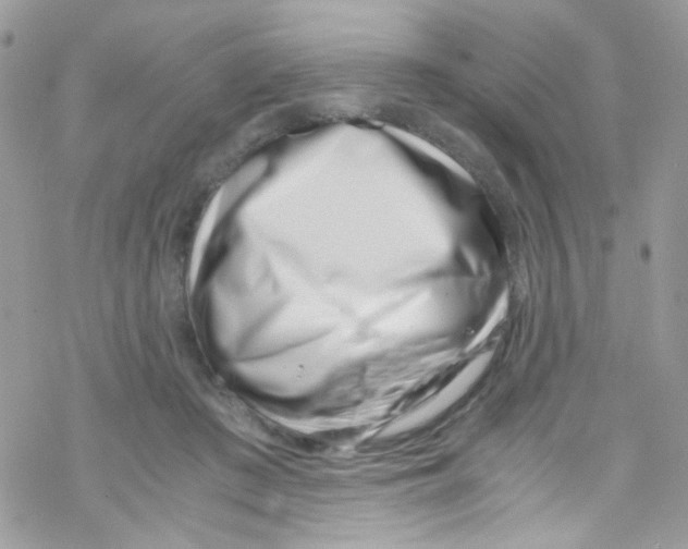 X0000069410409200606091811