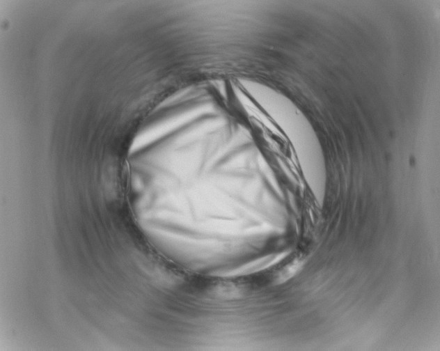 X0000069410416200606091811