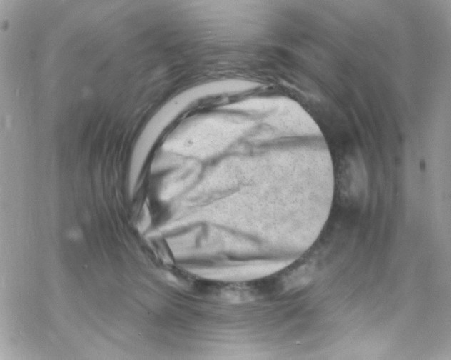 X0000069410420200606091811