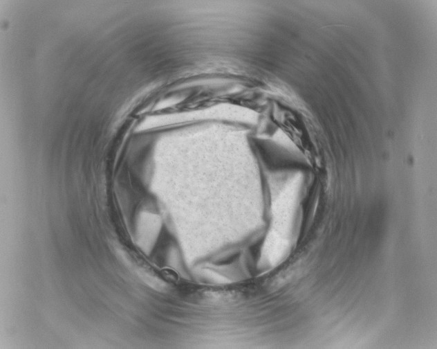 X0000069410442200606091810