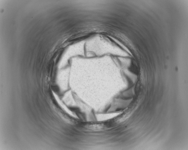 X0000069410449200606091810