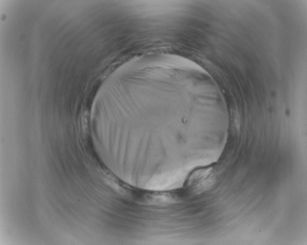 X0000069410475200606091811