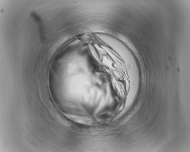 X0000069410481200606091810