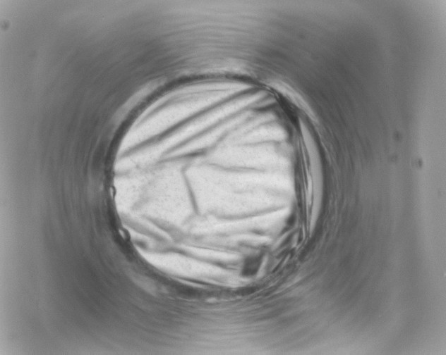 X0000069410483200606091810