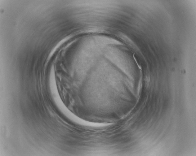 X0000069410484200606091810