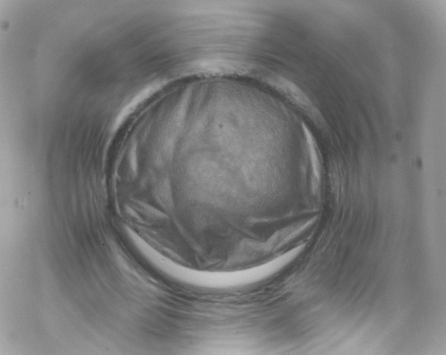 X0000069410488200606091810