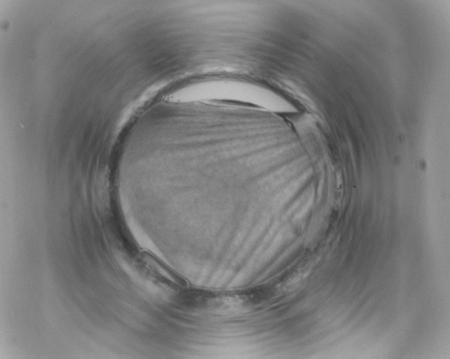 X0000069410492200606091810