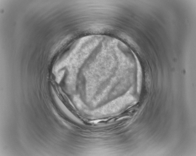 X0000069410493200606091810