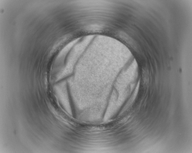 X0000069410494200606091810