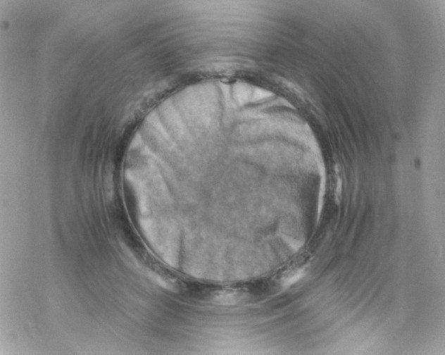 X0000069410504200606091810