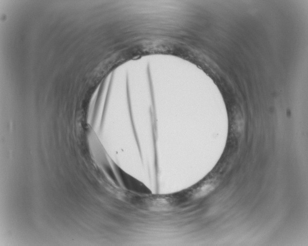 X0000069410513200606091810