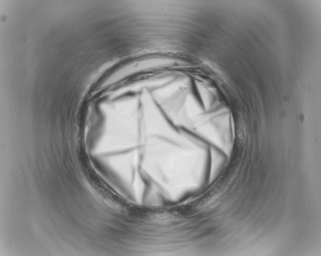 X0000069410540200606091809