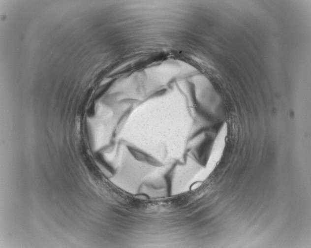 X0000069410550200606091809