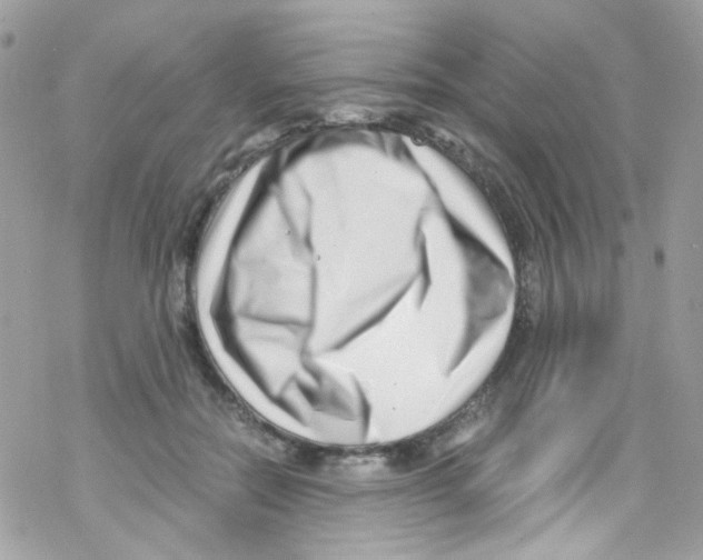 X0000069410554200606091809