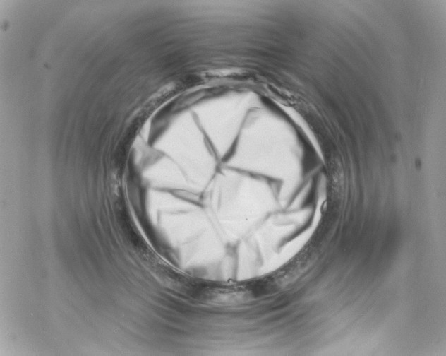 X0000069410555200606091809