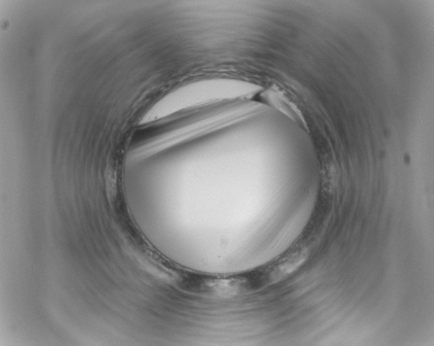X0000069410558200606091809