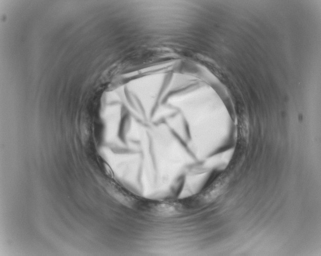 X0000069410566200606091809