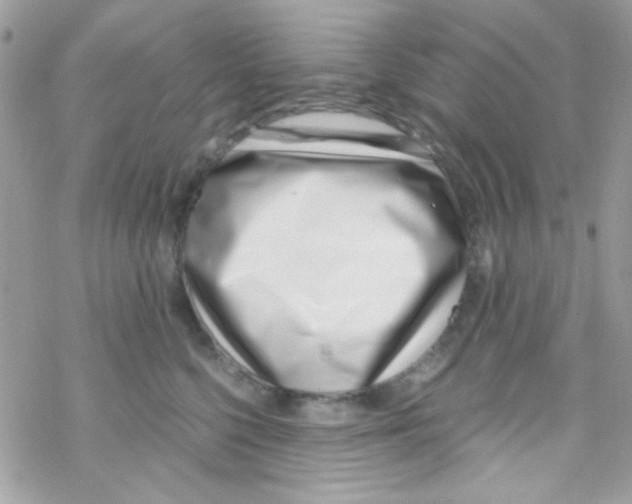 X0000069410568200606091809