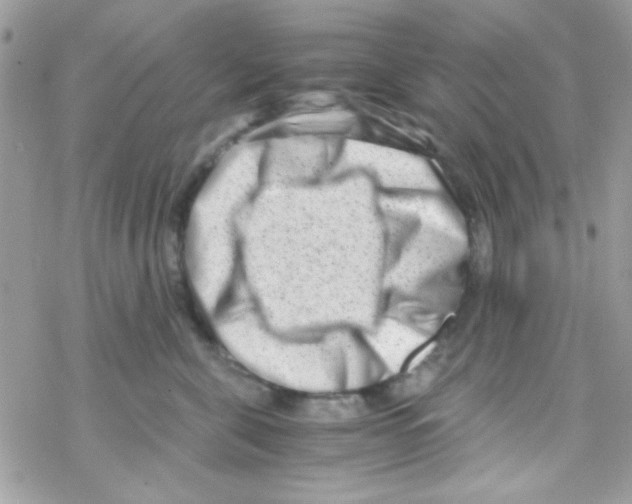X0000069410571200606091809
