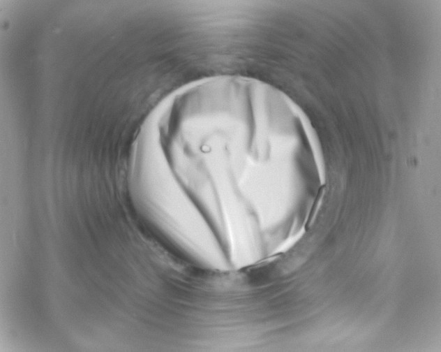 X0000069410576200606091809